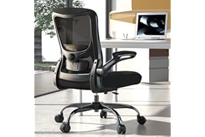Ergonomic Office Chair - High Back Desk Chair with Adjustable Lumbar Support, Breathable Mesh Back, 330LBS Capacity, Easy Ass