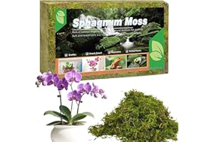 Dried Forest Moss for Plants, 5.3oz Potting Plant Moss Soil, Sphagnum Potting Moss for Indoor Outdoor Various Plants, Includi