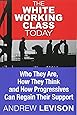 The White Working Class Today: Who They Are, How They Think and How Progressives Can Regain Their Support