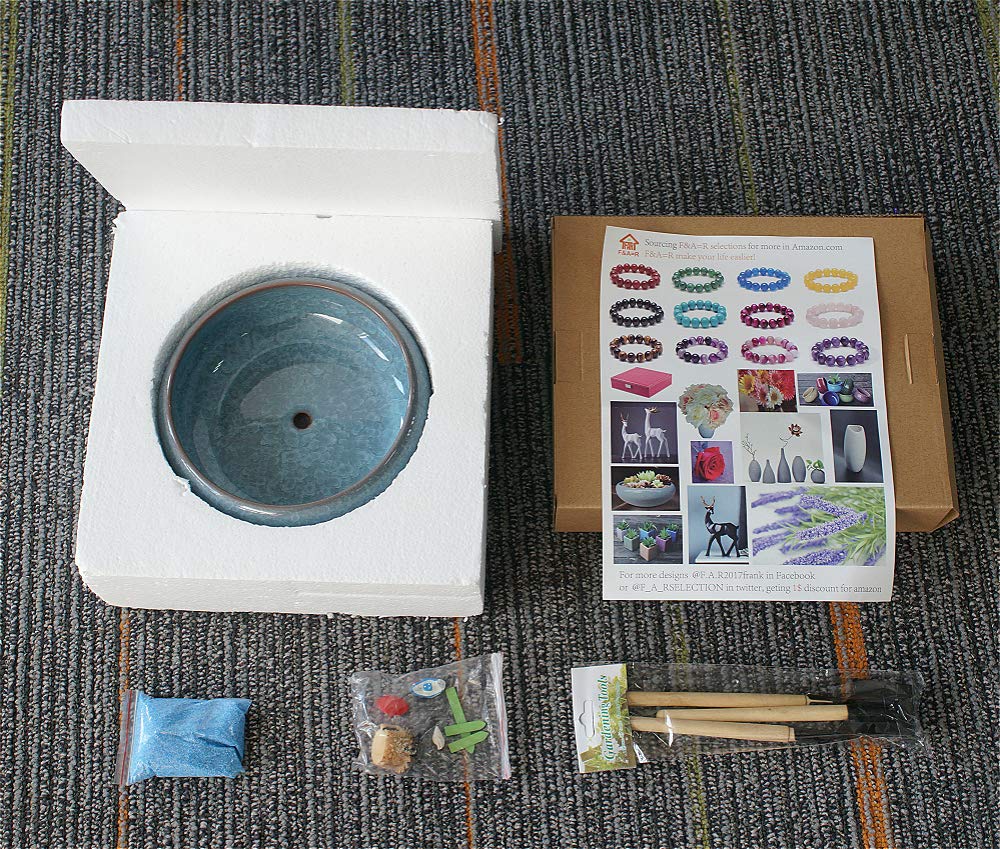 Big Succulent Plant Pots, Ceramic Ice Crack Cactus Plant Pot/Flower Planter Pot with Drainage for Home & Kitchen Decoration