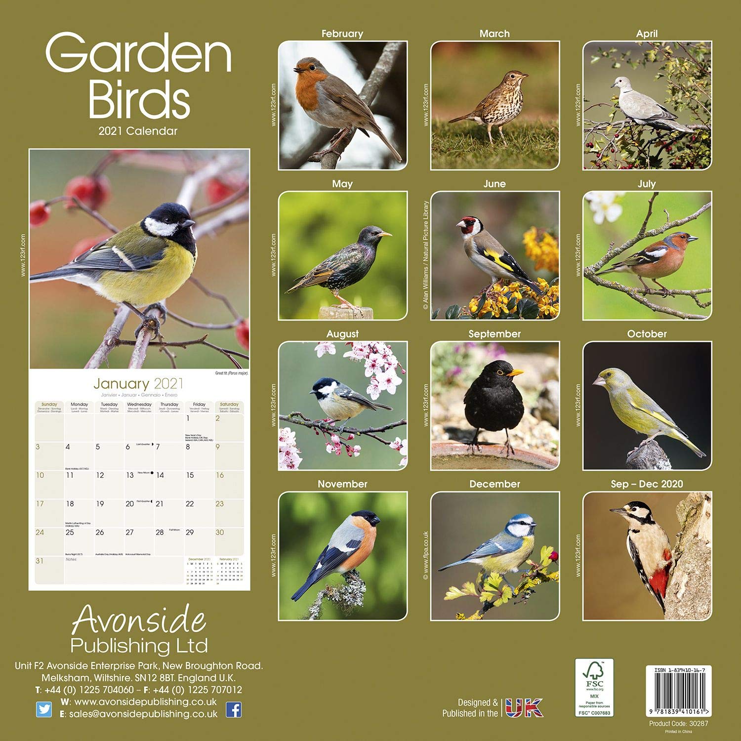 Garden Birds 2021 Calendar (Square): Amazon.co.uk: Avonside Publishing Ltd:  9781839410161: Books
