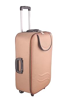 New Jersey Travellers Polyester Brown Softside Trolley\Tourist\Travel Luggage (60 cm)