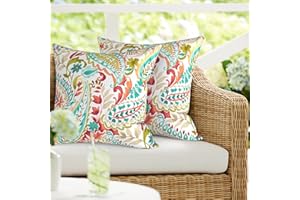 DYTXIII Pack of 2 Waterproof Patio Pillow with Inserts, Square Outdoor Decorative Throw Pillow for Home,Sofa,Bench and Patio Furniture (18 x 18 in,Pretty Paisley)