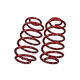 Touring Tech 2" Rear Lowering Drop Coil Springs for