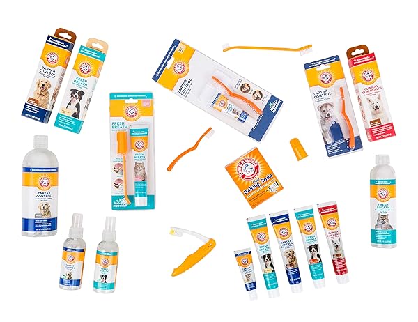 ARM & HAMMER FOR PETS FRESH BREATH ENZYMATIC DOG DENTAL CARE KIT – INCLUDES DOG TOOTHPASTE, DUAL SIDED TOOTHBRUSH AND FINGERBRUSH – BAD BREATH TREATMENT, CHICKEN FLAVOR, 2.5 OUNCE