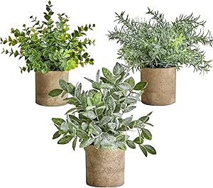 Artificial Potted Plants Small Mini Fake Plastic Potted Plants Shelf Decorations for Home, Kitchen Counter Cabinet, Office Bathroom Indoor Farmhouse Greenery Eucalyptus Rosemary Boxwood Set of 3