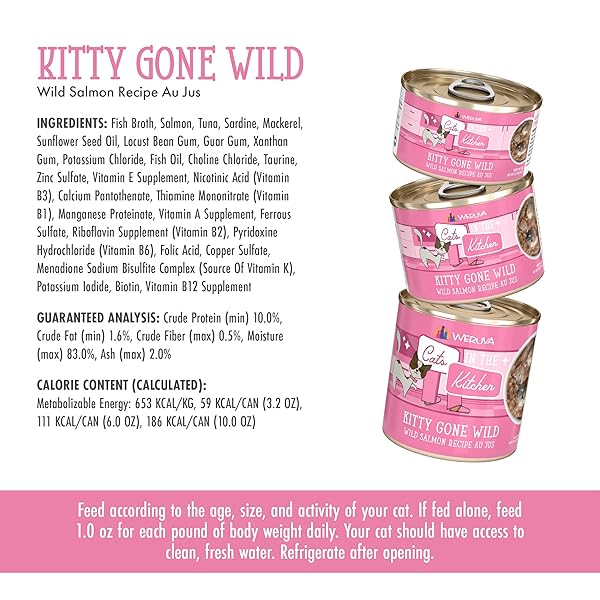 WERUVA CATS IN THE KITCHEN, KITTY GONE WILD WITH WILD SALMON AU JUS CAT FOOD, 3.2OZ CAN (PACK OF 24)