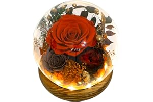 Valley of Rain & Forest Long-Lasting Real Flowers, Unique Floral Gift For You to Send Love for All Occasions, for Indoor Decoration (Orange Rose, Brown Rose, Black-Red Austin Rose)