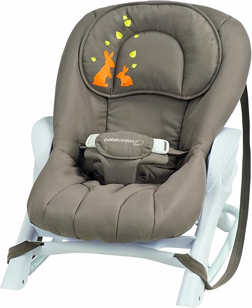 Bebe Confort Transat Cocon Evolution Into The Wind Collection 12 Amazon Fr Bebes Puericulture