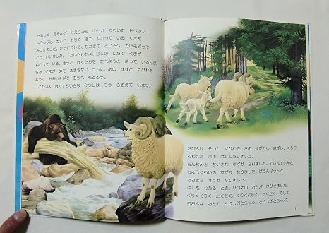 Amazon Co Jp 3 Cavity Sheep Bear Farandol Ebon 7 Ch Salambier Pre Owned Picture Book Lone Hobby