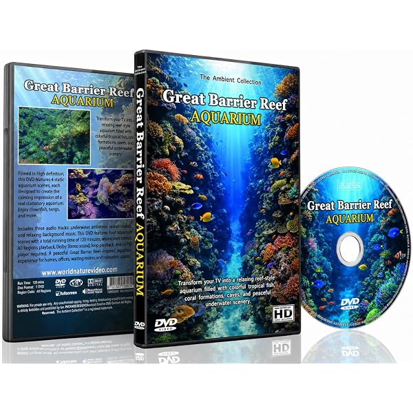 Amazon.com: Exotic Saltwater Aquarium : Artist Not Provided