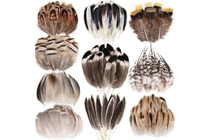 THARAHT 300pcs Natural Feathers Small 4 Styles Bulk for DIY Crafts Hat Wedding Home Party Decoration Feathers