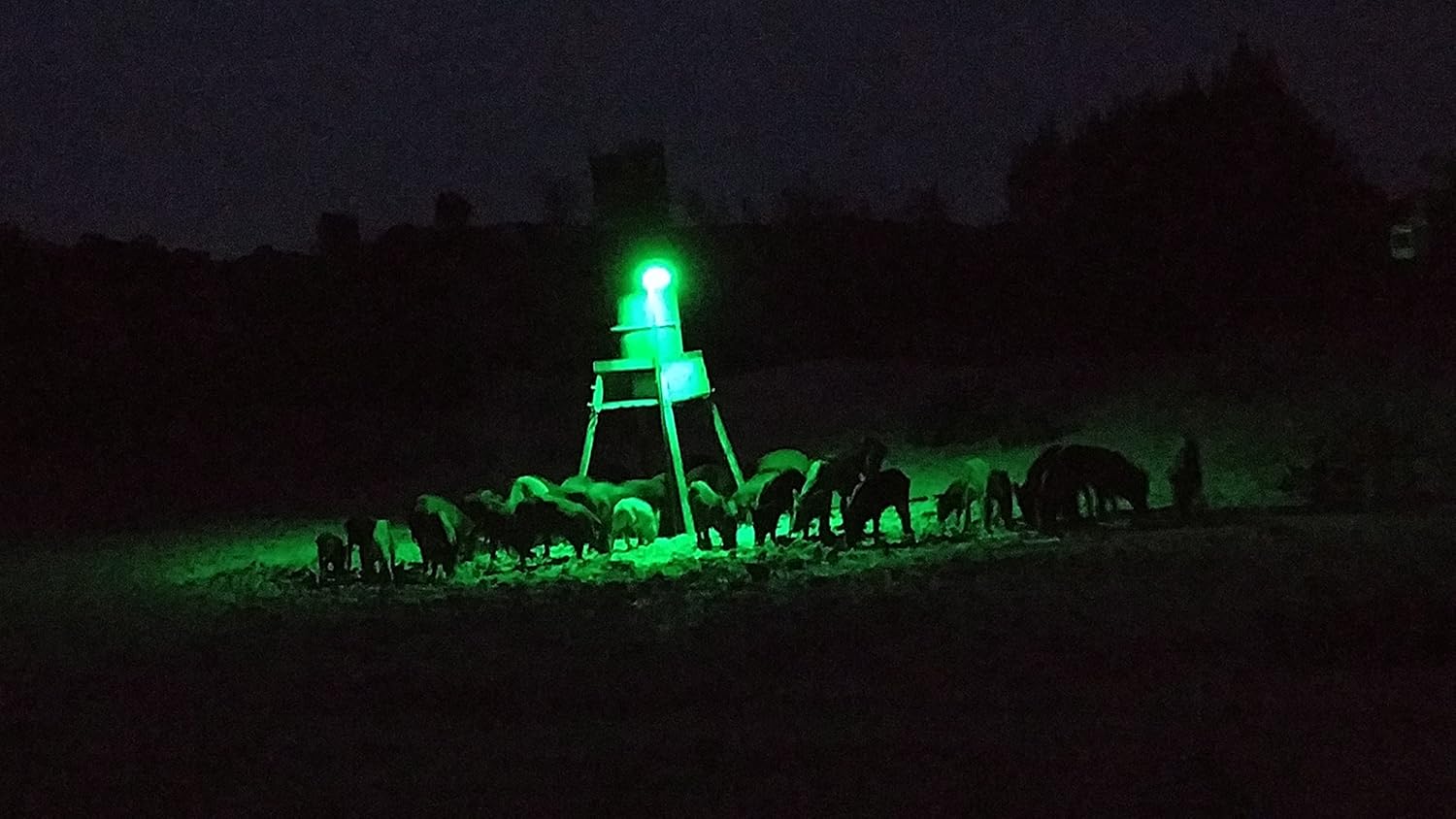 Sports Outdoors Wildgame Innovations Moonshine Light Hunting