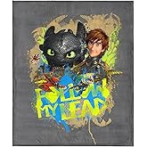 Northwest How to Train Your Dragon Follow My Lead Silk Touch Throw Blanket 40x50 inches