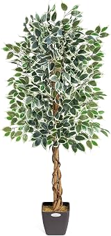 Christow 5ft Artificial Ficus Tree Variegated Leaves Natural Wood Trunk
