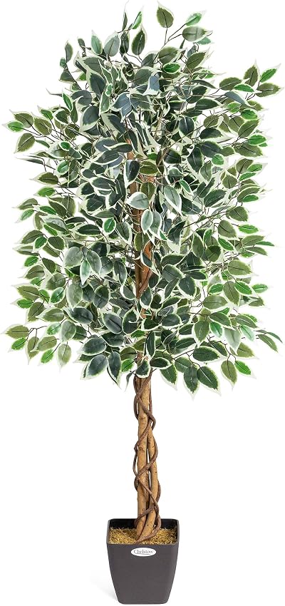 Christow 5ft Artificial Ficus Tree Variegated Leaves Natural Wood Trunk