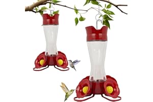 Perky-Pet 203CPBN-2 Glass Hummingbird Feeders for Outdoors with Perches, Ant Moat, Bee Guards - Pack of 2
