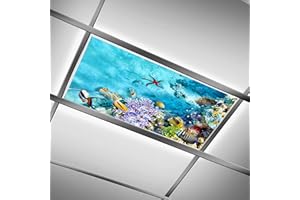 DIQISHIZHU Fluorescent Light Covers for Classroom Office - 2ft x 4ft LED Light Filters, Eliminate Harsh Glare & Eyestrain, De
