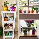 KINGLAKE 8Pcs 10cm Plastic Colorful Plant Pots with Trays Indoor Garden Set view 4