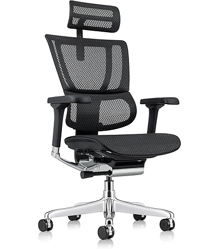 Amazon.com: Ergohuman Eurotech LEM4ERG Executive High Back Mesh