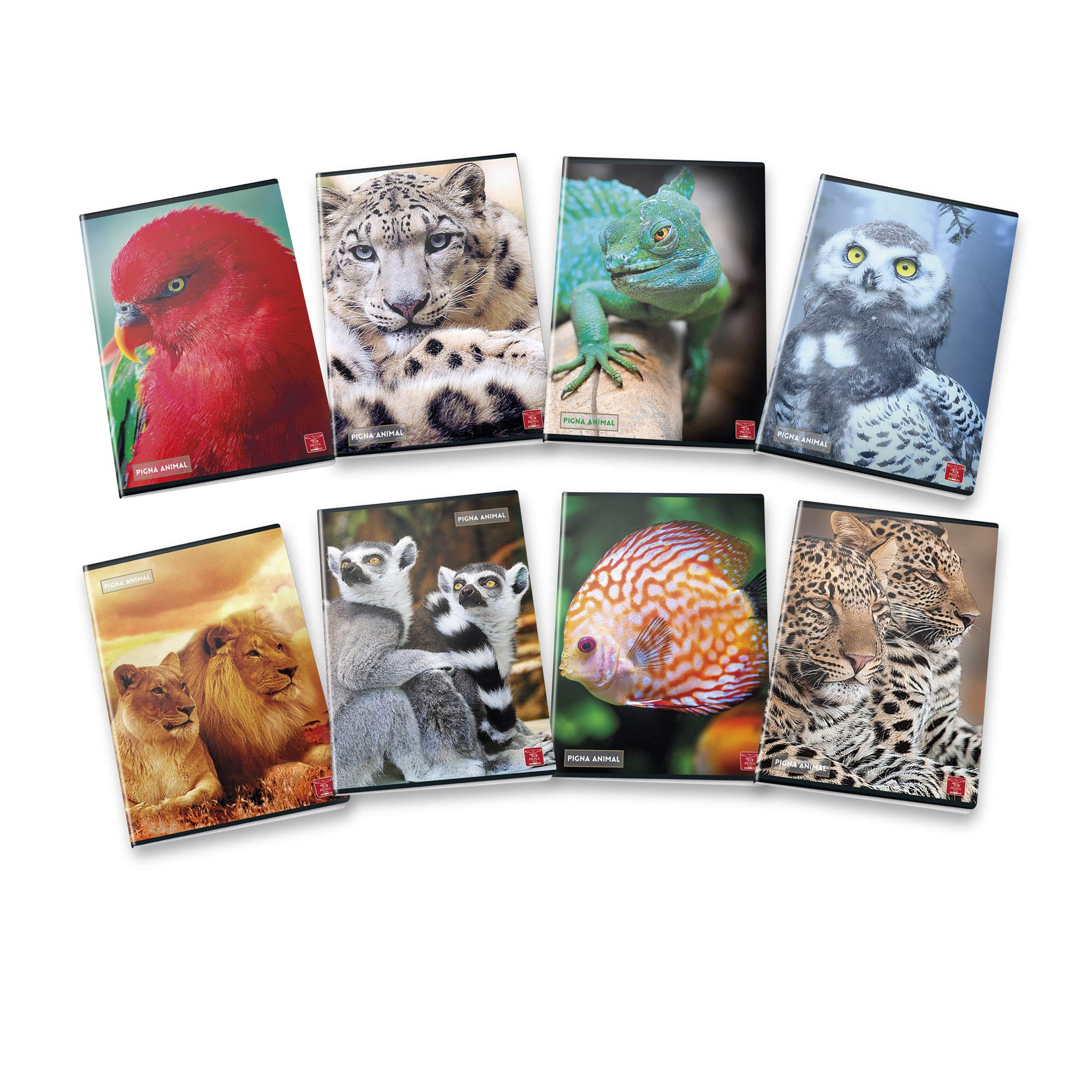 Pigna Animal 02307651R Maxi Notebooks A4 Squares 1R Stripes, Pack of 10