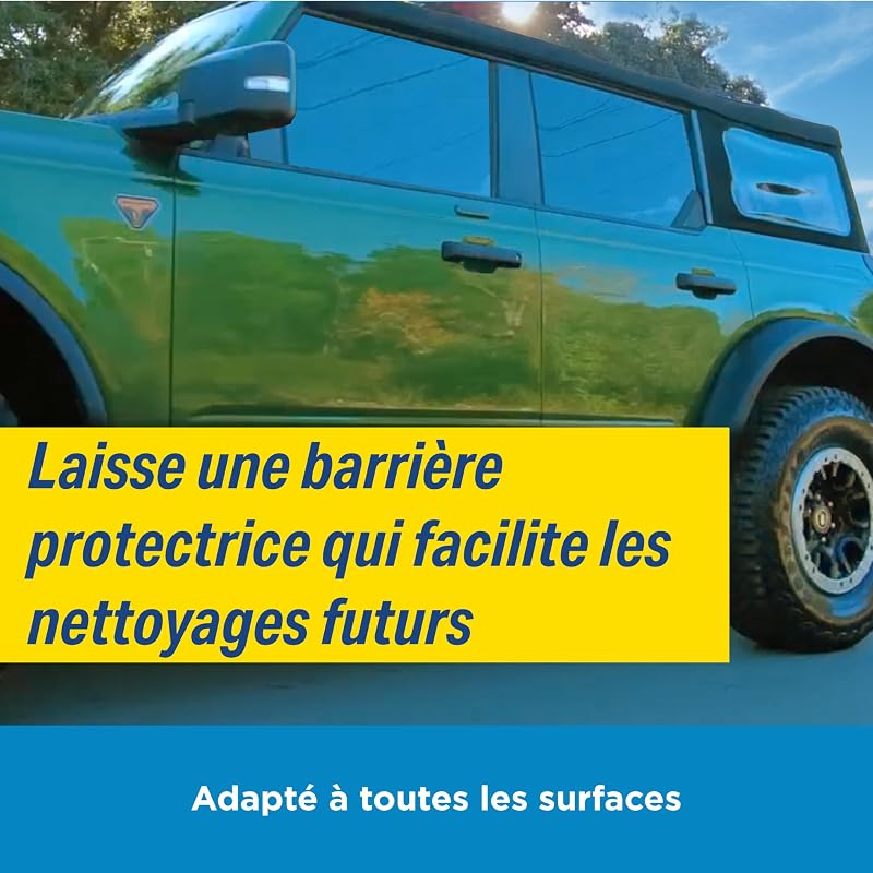 Anti-Insectes & Nettoyant Fientes d'Oiseaux pour Voiture - 500 ml