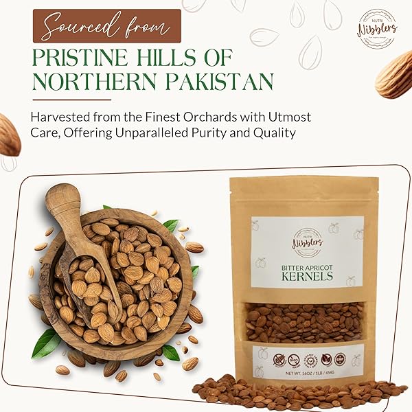 NUTRI NIBBLERS CERTIFIED ORGANIC BITTER APRICOT SEEDS 1LB FRESHLY PACKED BITTER APRICOT KERNELS ORGANIC RAW IN ECO-FRIENDLY RESEALABLE BAG VEGAN,NON-GMO,GLUTEN FREE – RICH IN VITAMIN B17 (AMYGDALIN)