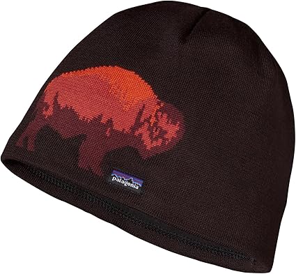 patagonia skull cap