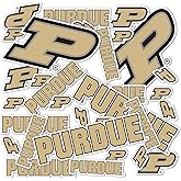 Desert Cactus Purdue University Sticker Vinyl Decals Laptop Water Bottle Car Scrapbook Sheet T1 (Type 1-1)