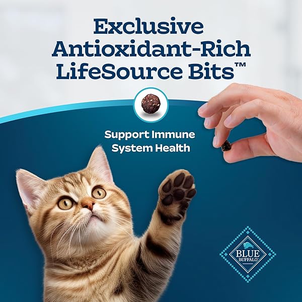 BLUE BUFFALO TASTEFULS KITTEN FOOD WITH DHA DRY CAT FOOD MADE IN THE USA WITH NATURAL INGREDIENTS, CHICKEN RECIPE, 7-LB. BAG