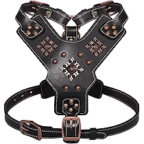 Amazon.com : PET ARTIST Spiked Custom Studded Leather Dog