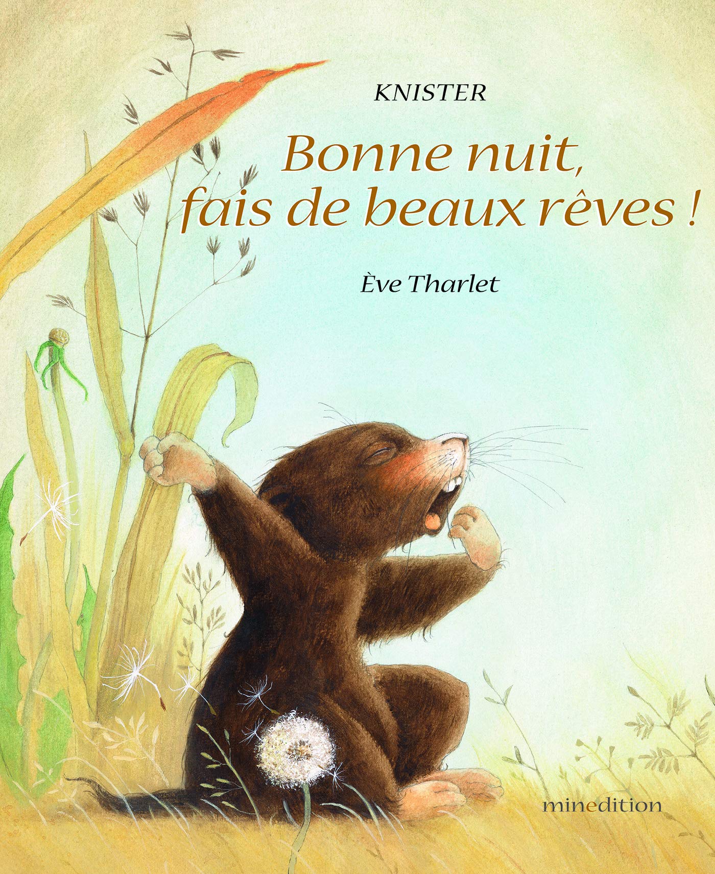 Bonne Nuit Fais De Beaux Reves Albums Tharlet Eve Amazon Com Books