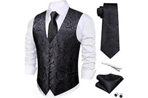 Barry.Wang Mens Paisley V-neck Suit Vest Formal/Leisure Silk Jacquard Waistcoat Tie Set 5PCS