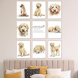 BigWig Prints Golden Doodle Wall Decor