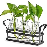 Mkono Propagation Stations with Metal Stand, Desktop Plant Terrarium Glass Planter Vase for Hydroponic Plants Flower Cutting Home Office Garden Decor Plant Lover Gifts, 3 Jars
