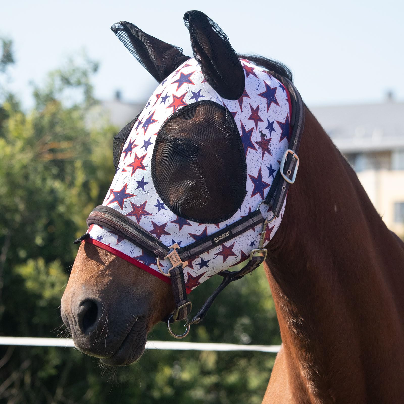 Harrison Howard Elasticity Horse Fly Mask Superb Comfort with UV Protection Standard Horse Fly Mask for Horse-Dream Star