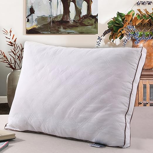 Amazon Com Pillows For Sleeping Gusseted Quilted Bed Pillows