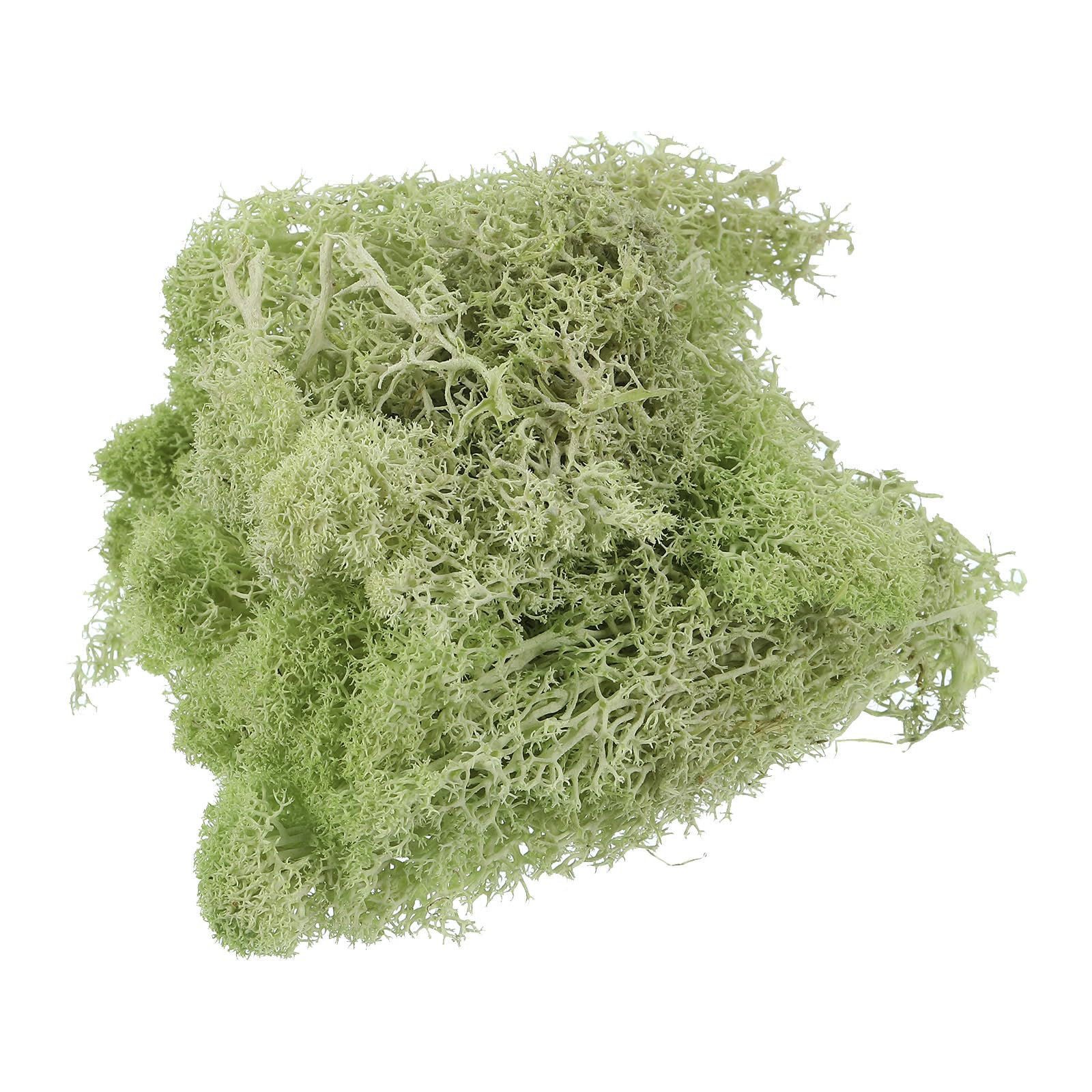 PATIKIL 1.8 OZ Fake Moss, Preserved Reindeer Moss Artificial Moss Lichen Centerpieces Decor Faux Moss for Potted Plants Christmas Craft, Lawn Green