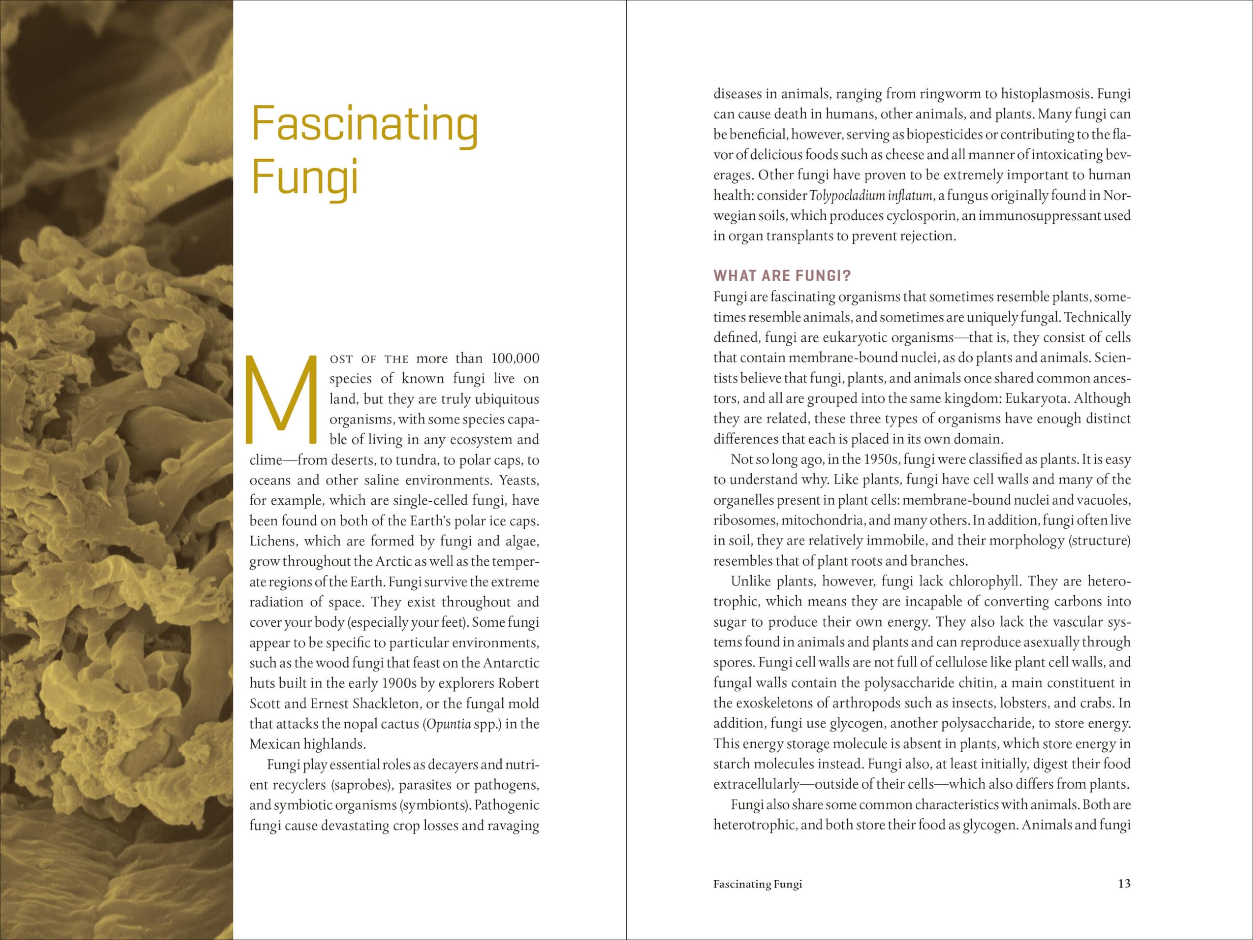 Teaming with Fungi: The Organic Grower's Guide to Mycorrhizae (Science for Gardeners) Teaming with Fungi: The Organic Grower's Guide to Mycorrhizae (Science for Gardeners) Hardcover Audible Audiobook Kindle Audio CD