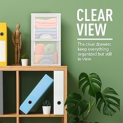 Plastic Small 2-Drawer Storage Organizer, Slim