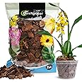 Omitgoter Potting Mix for Indoor Plants (Orchid Bark, 2.0, Quart)