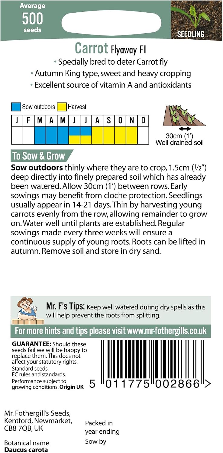 Mr Fothergill's 22481 Vegetable Seeds, Carrot Flyaway F1, Orange - Image 4
