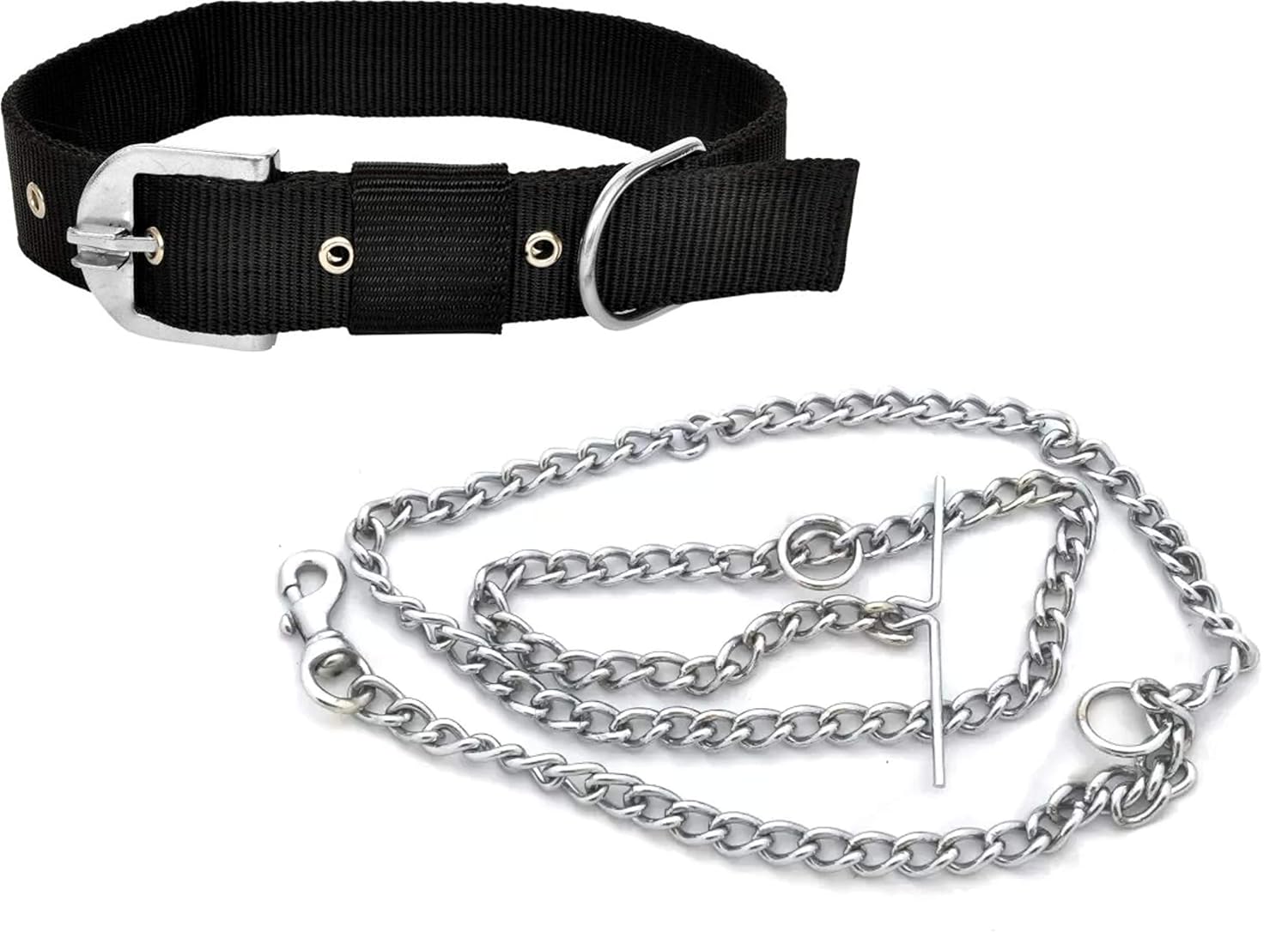 black dog chain collar