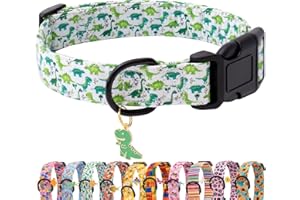 Faygarsle Dog Collar for Small Medium Large Dogs Cute Green Puppy Collars for Male Dogs Dinosaur Patterned Pet Collars for Summer Spring Wedding Puppy Boy Dog Collar XS