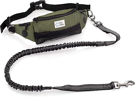 fanny pack dog leash