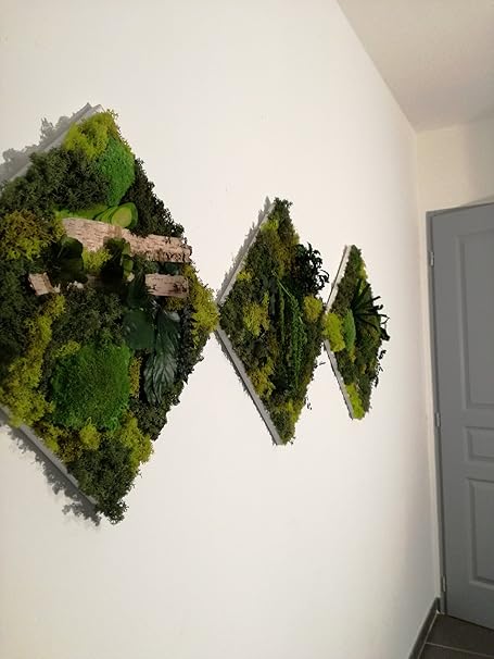 Vegetaldesign Tableau Vegetal Stabilise Triptyque 170 X 60 Cm Amazon Fr Cuisine Maison