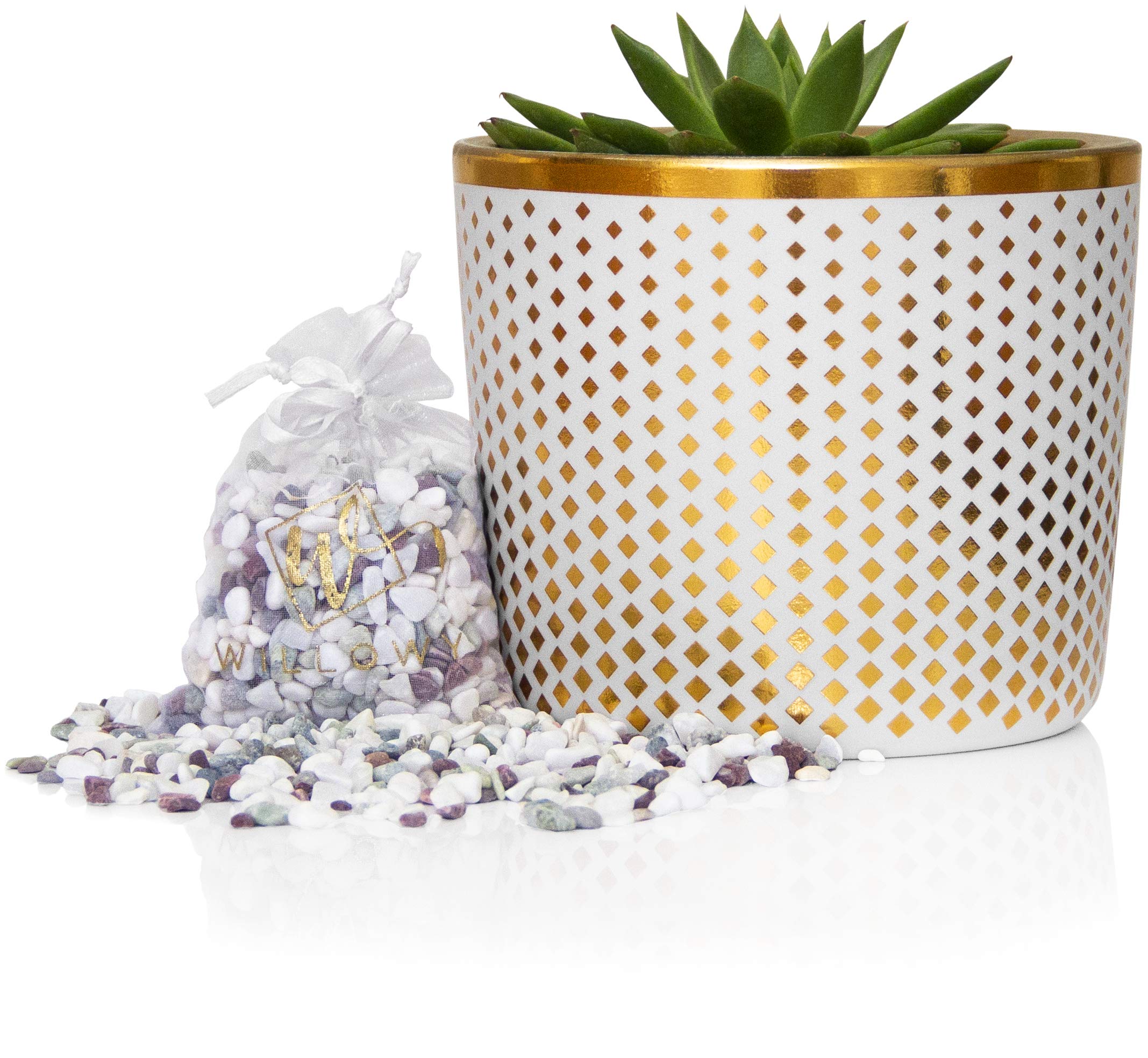 6 Inch Ceramic Plant Pot - Small White Planter with Gold Diamonds - Perfect for Succulents Like Jade & Cactus - Decorative Pebbles Included - Cute Flower Pots Indoor or Outdoor Home Decor