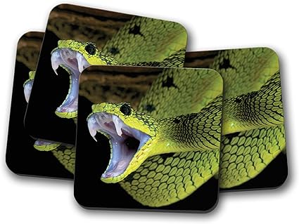 Amazon Co Jp 4セット クールグリーンスネークコースター ヘビ爬虫類牙ネイチャージャングルギフト 89 ホーム キッチン