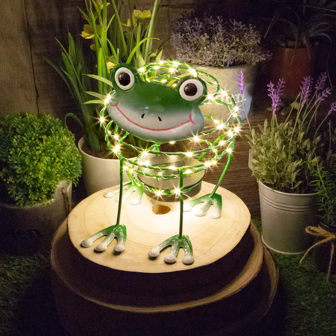 GardenKraft 14990 Solar Powered Light Up Frog Garden Feature / 62 Micro LED’s / 4D Moving Effect/Auto-On/Weatherproof