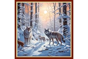 Findvoor Stamped Cross Stitch Kits for Beginners Full Range of Cross Stitching Embroidery Pattern for Kids or Adults, 11CT DIY Needlepoint Embroidery Starter Kits-Snow Scenery 17.7x17.7 inch